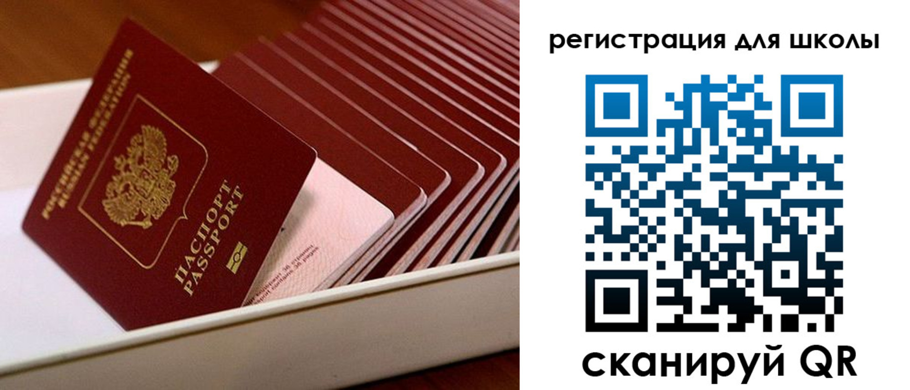 прописка гарантия в Чечне